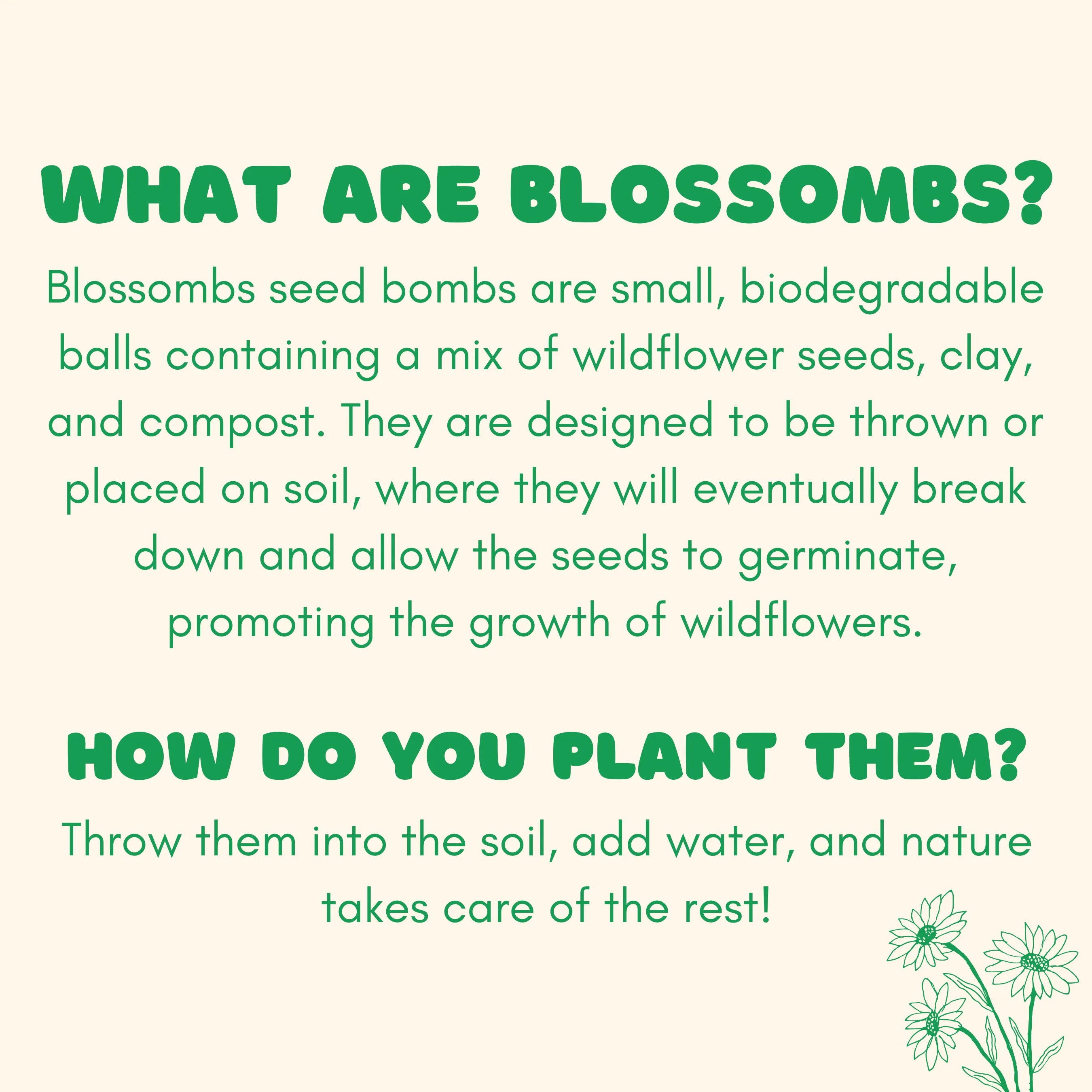 Wildflower Seed Ball Kit - Image 3