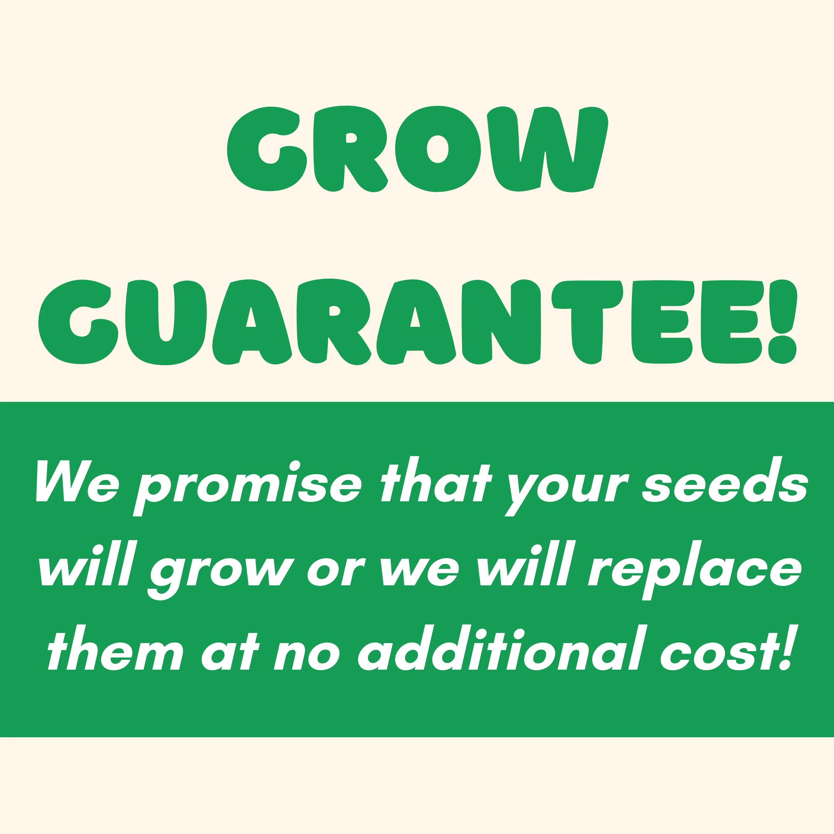Wildflower Seed Ball Kit - Image 6