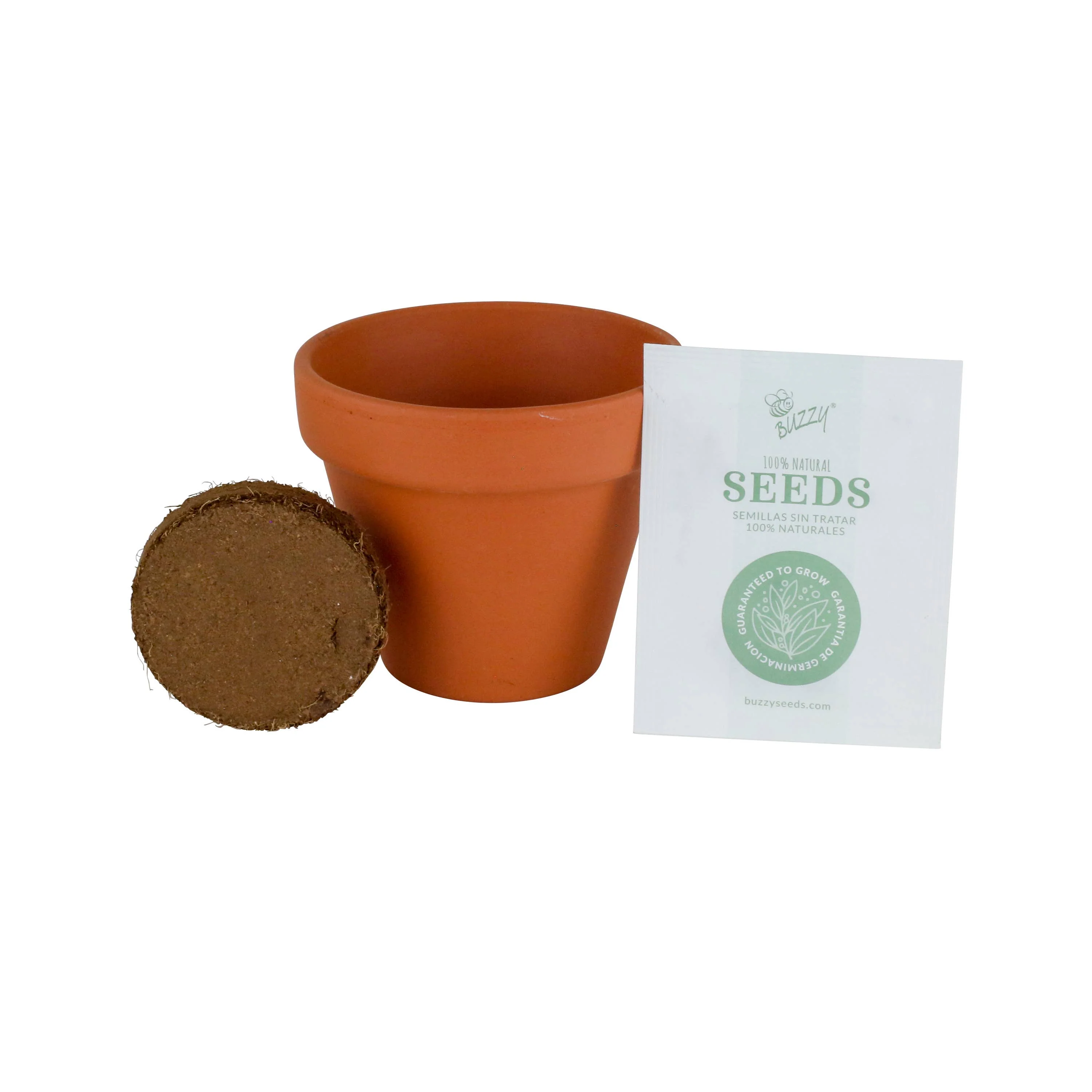 Mini Grow Pot - Sunflower - Image 2