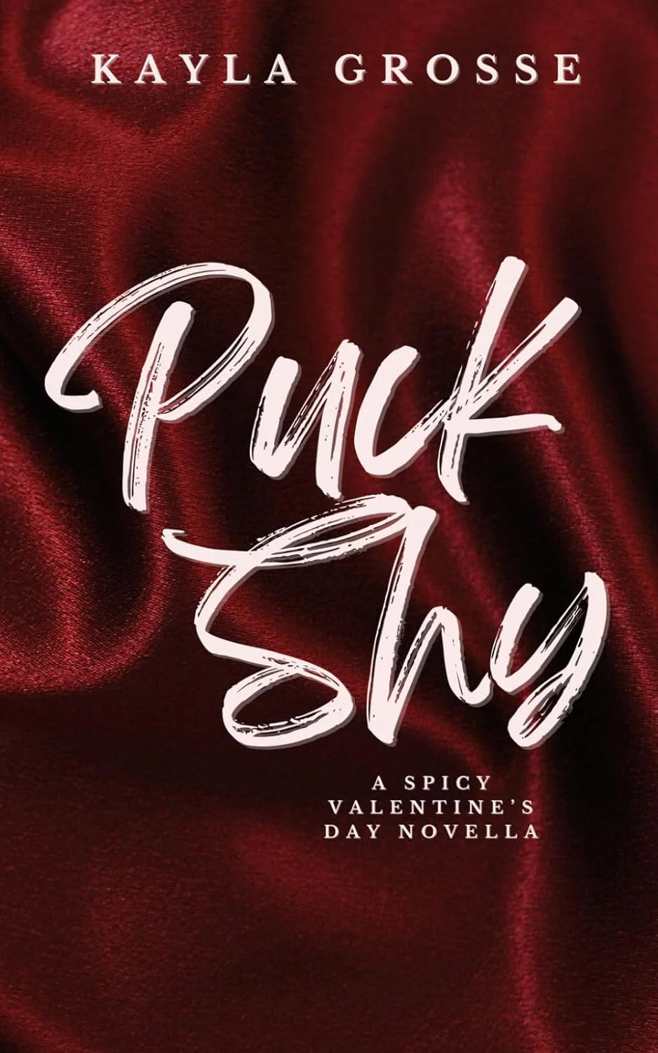 Puck Shy (Signed Novella) - Image 3