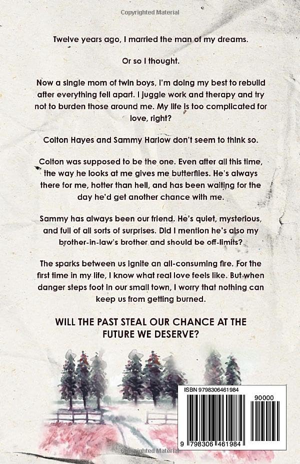 Stolen Chances (Signed) - Image 2