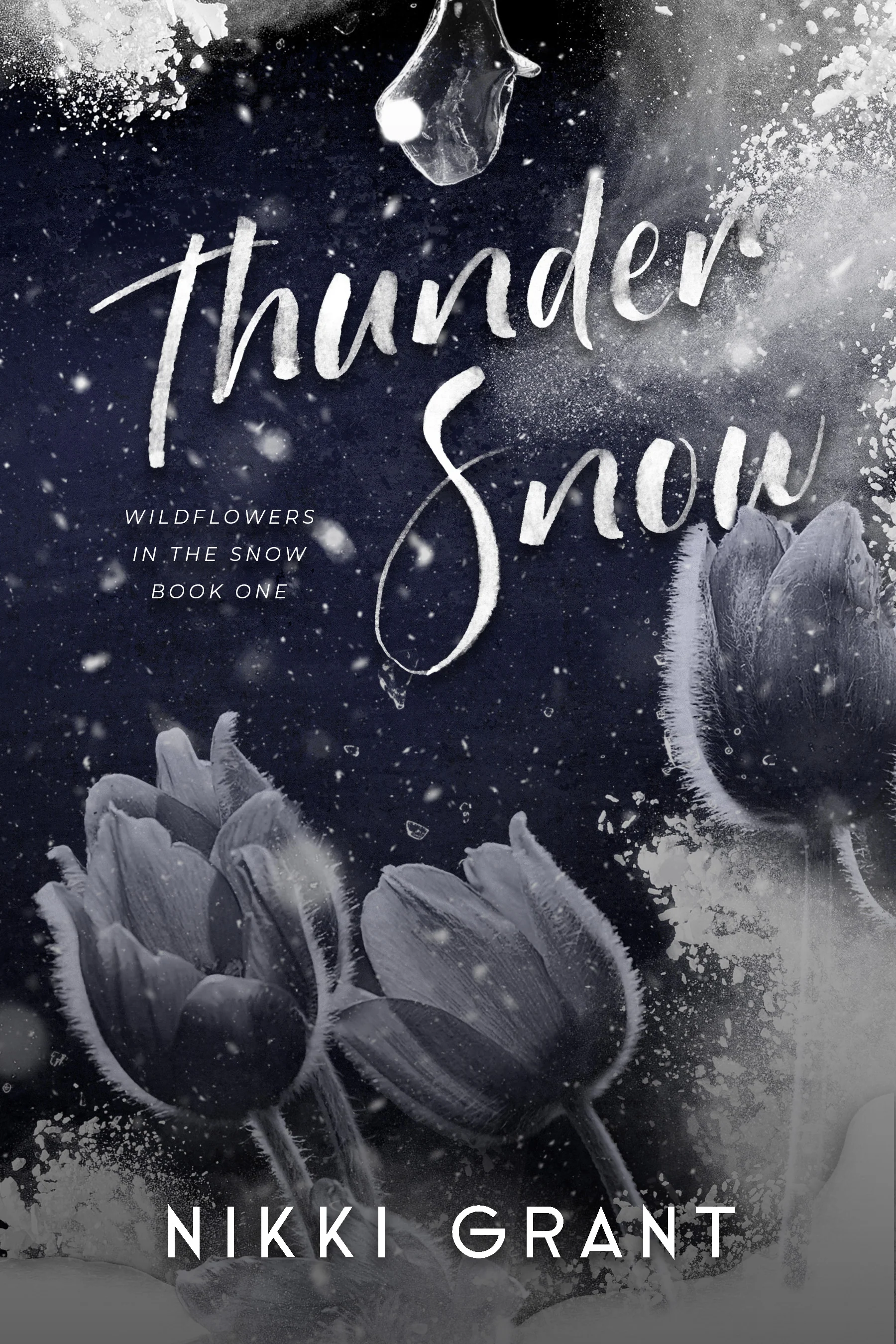 [PREORDER] Thunder Snow (Signed Book) - Image 3